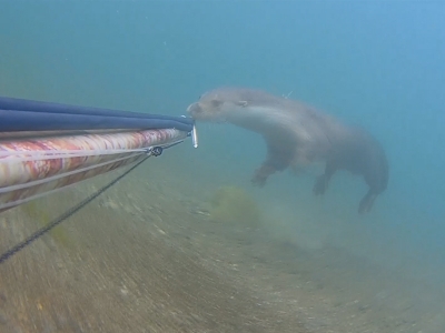 Doğa’dan kameralara yansıyanlar…