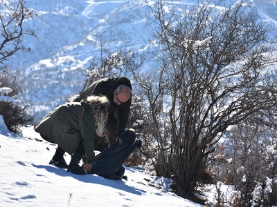 Doğal hayattan kameralara yansıyanlar…