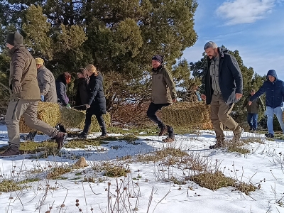 Yaban hayatına yem desteği