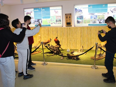 Aydın’da gençler yaban hayatıyla tanışıyor