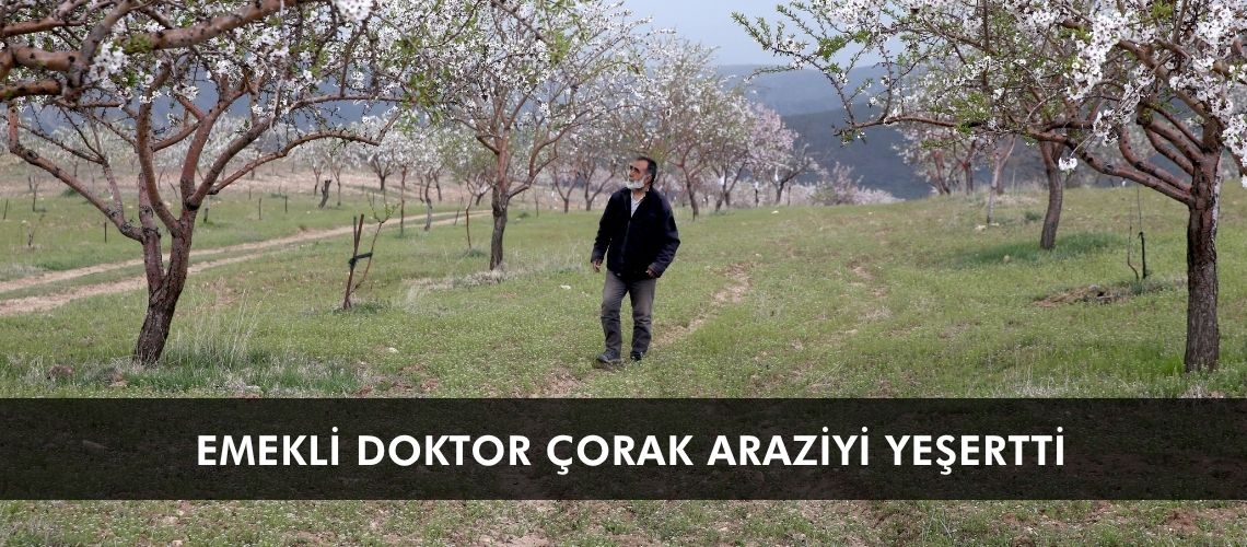 Emekli doktor çorak araziyi yeşertti