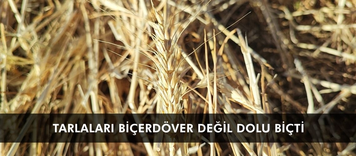 Yozgat'ta tarlaları biçerdöver değil dolu biçti