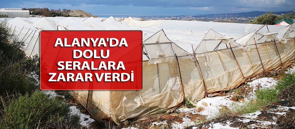 Alanya'da dolu seralara zarar verdi