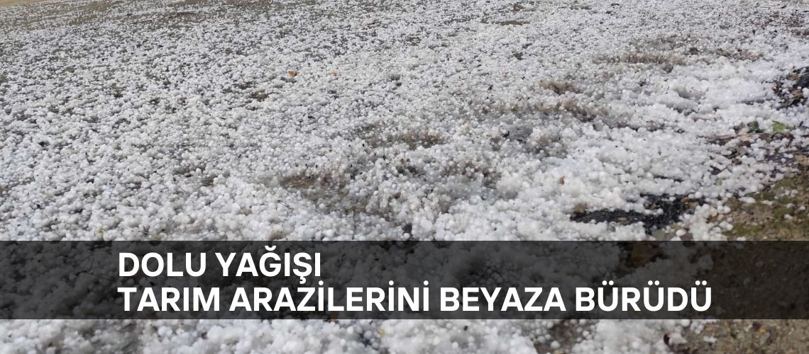 Dolu yağışı tarım arazilerini beyaza bürüdü