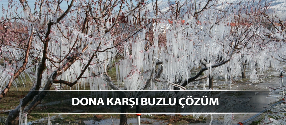 Dona karşı buzlu çözüm