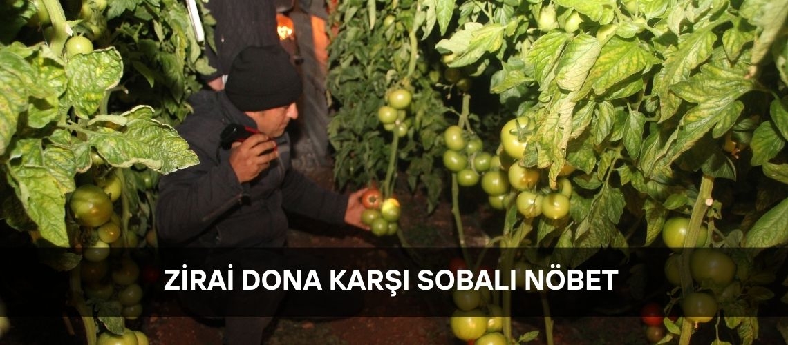 Zirai dona karşı sobalı nöbet