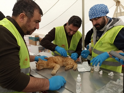 Can dostlara da yardım eli