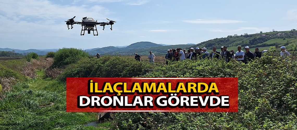 İlaçlamalarda dronlar görevde