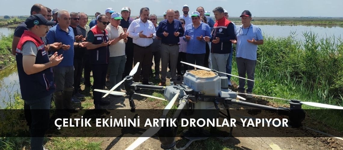 Çeltik ekimini artık dronlar yapıyor