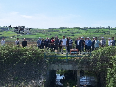 İlaçlamalarda dronlar görevde