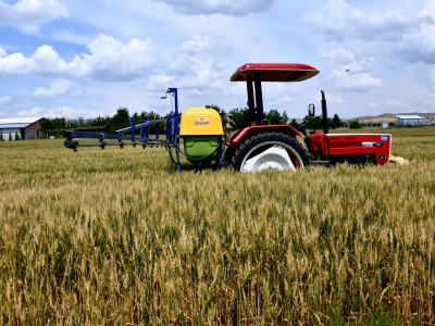 Ankara’da süne mücadelesi devam ediyor
