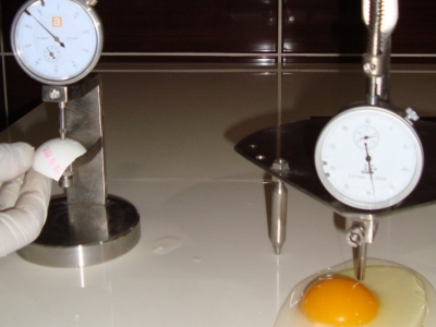 Türkiye, Avrupa'daki yumurta krizini izlemeye aldı