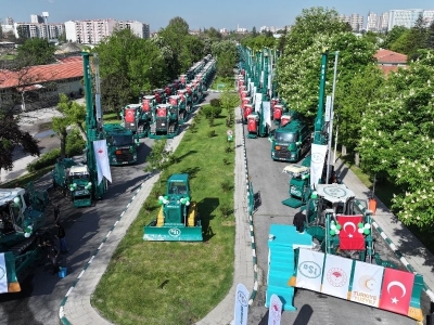 Yeşil karıncalar göreve hazır