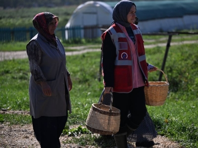 Düzce’nin atıl arazileri kadın ve gençlerle değerlendi