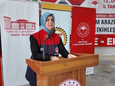 Konuralp pirinci tohum desteğiyle yaygınlaşıyor