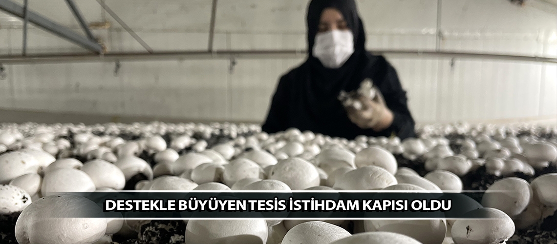 Destekle büyüyen tesis istihdam kapısı oldu