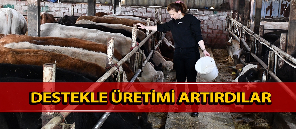 Destekle üretimi artırdılar