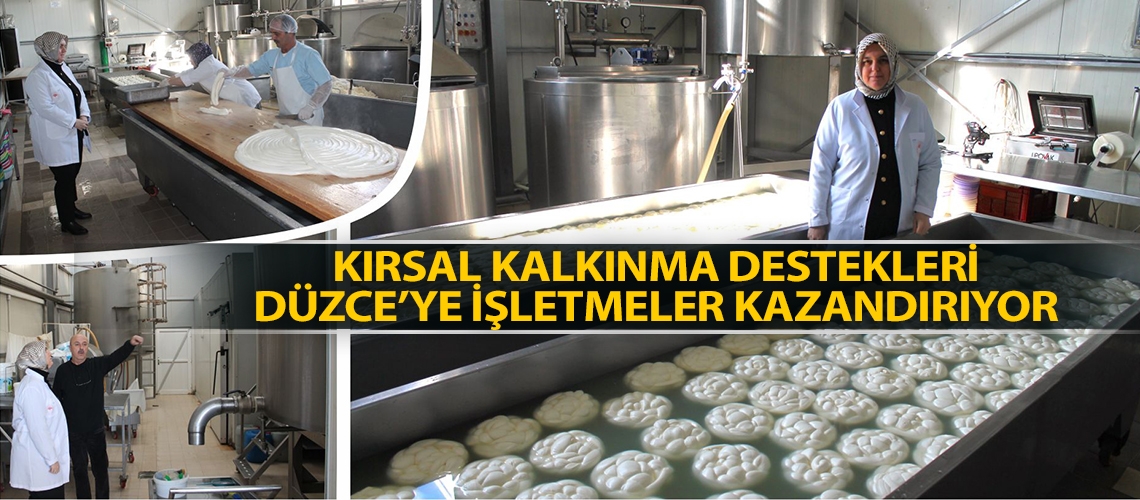 Kırsal kalkınma destekleri Düzce’ye işletmeler kazandırıyor