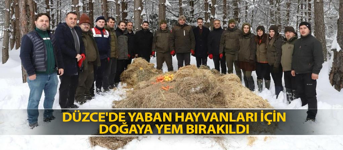 Düzce'de yaban hayvanları için doğaya yem bırakıldı