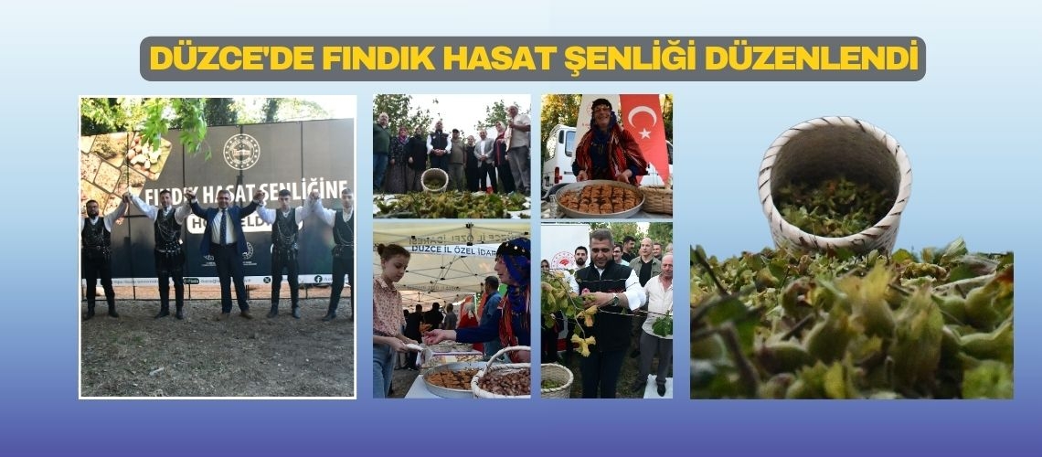 Düzce'de fındık hasat şenliği düzenlendi