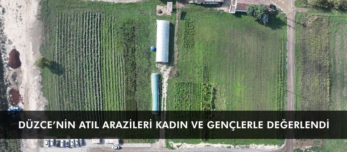 Düzce’nin atıl arazileri kadın ve gençlerle değerlendi