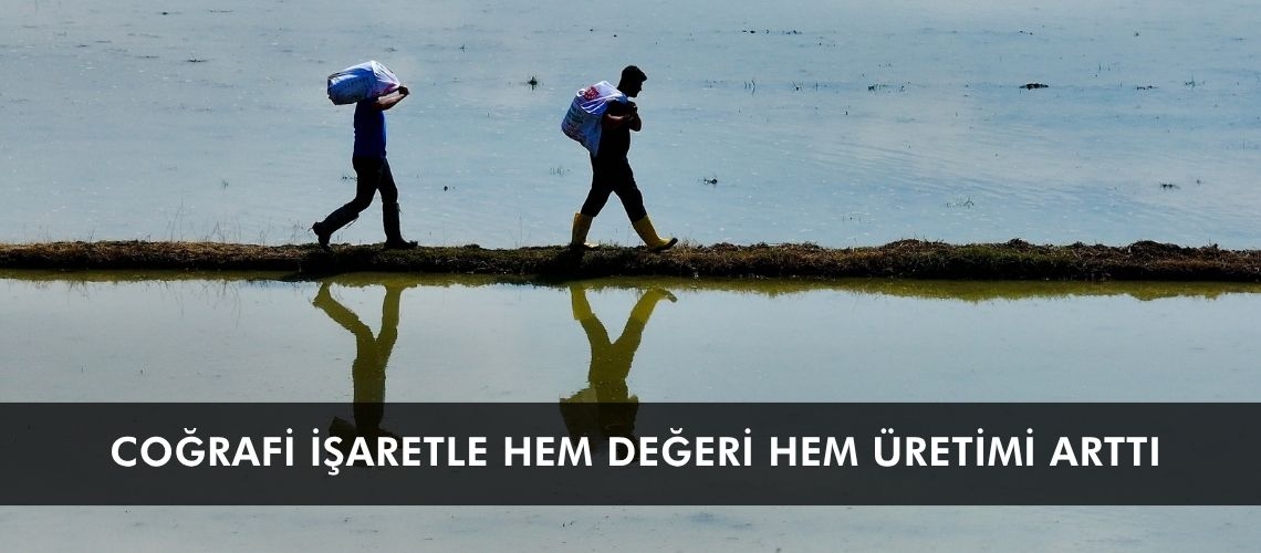 Coğrafi işaretle hem değeri hem üretimi arttı