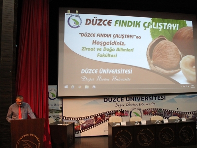 Düzce’de fındık çalıştayı
