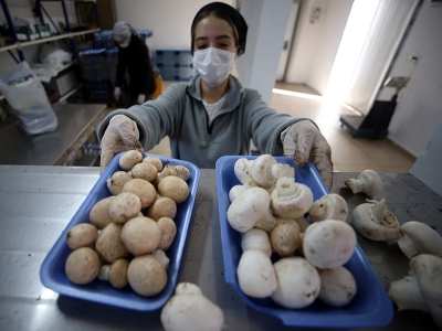 Destekle büyüyen tesis istihdam kapısı oldu