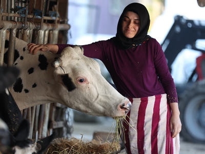 Bir inekle başladı, devlet desteğiyle çiftlik kurdu