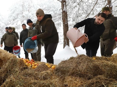 Düzce'de yaban hayvanları için doğaya yem bırakıldı