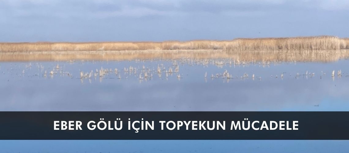 Eber Gölü için topyekun mücadele