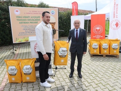 Edirne’de ayçiçeği üretimi destekle güçleniyor