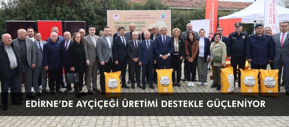 Edirne’de ayçiçeği üretimi destekle güçleniyor