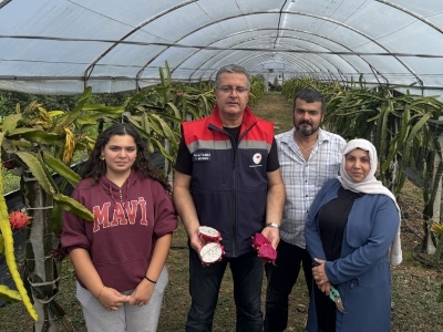 Ejder meyvesi Samsun’da alternatif ürün oldu