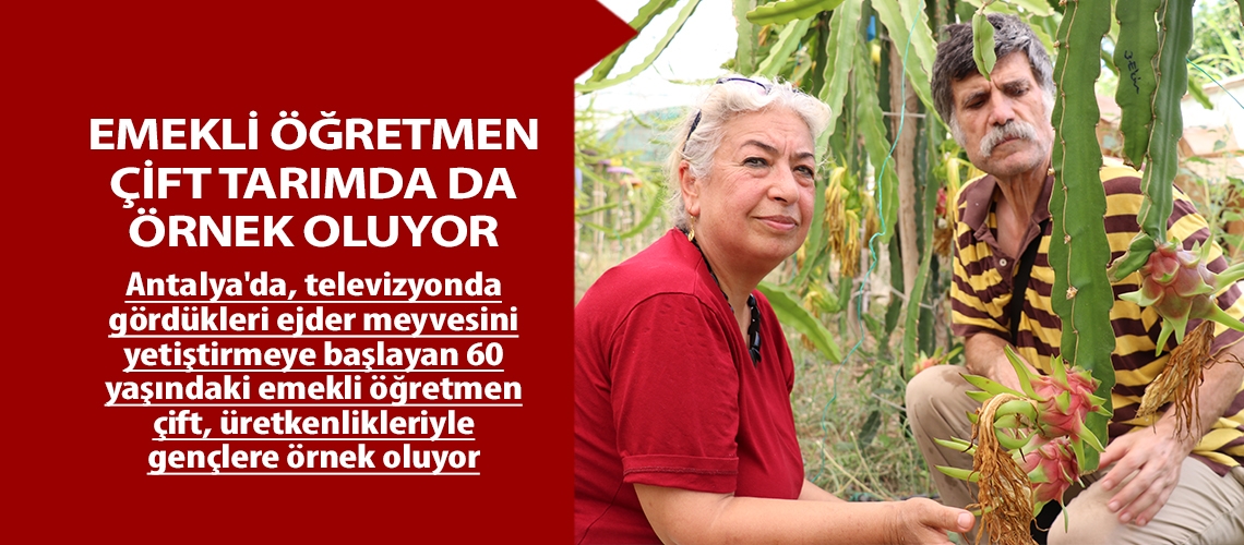 Emekli öğretmen çift tarımda da örnek oluyor