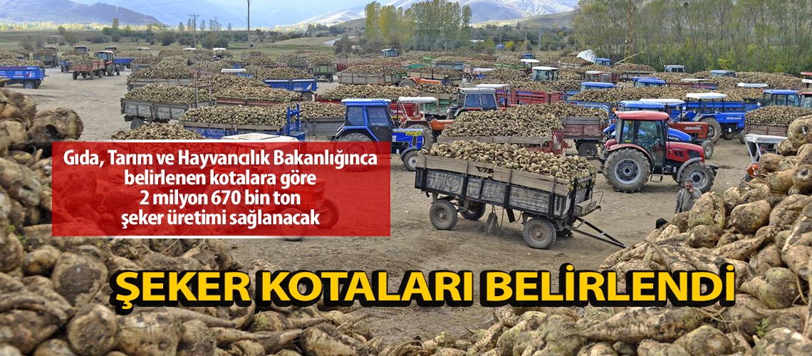 Şeker kotaları belirlendi