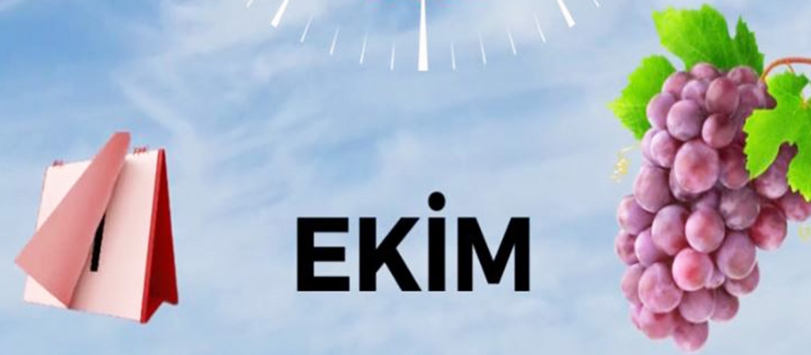 Tam Zamanı - Ekim Ayı Tarım Takvimi