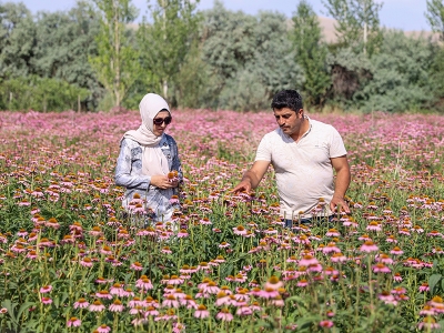 Genç çift hayallerini hasat etmeye hazırlanıyor