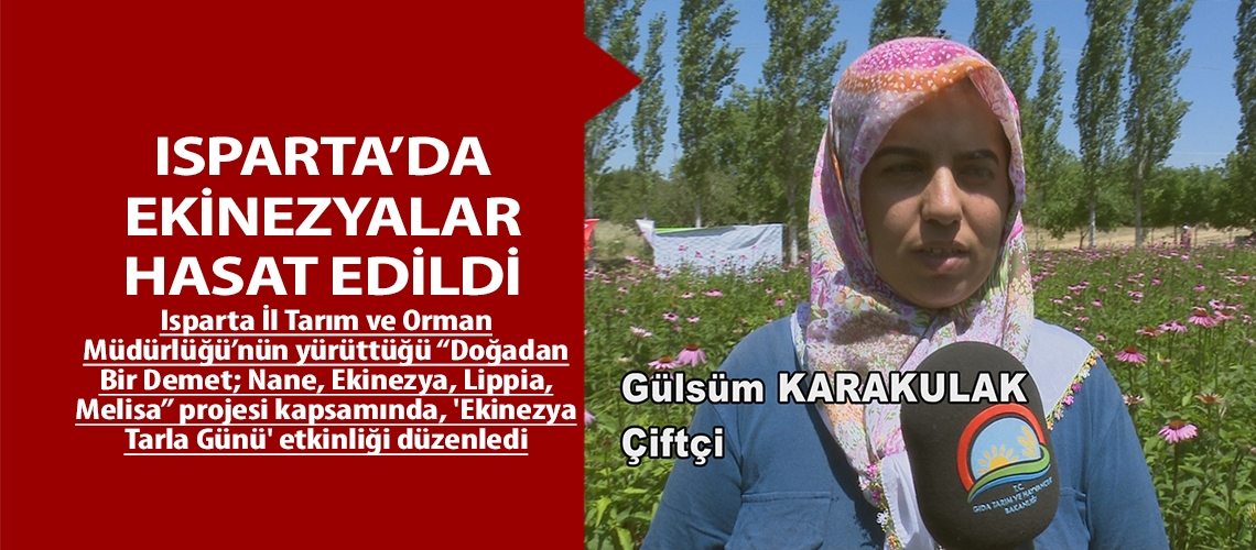 Isparta’da ekinezyalar hasat edildi