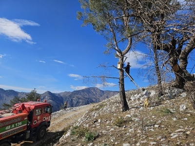 Ekosistem Onarımı Projesi ile doğa kendini yeniliyor