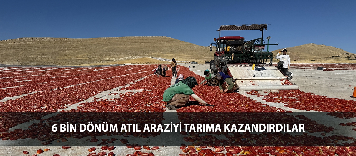 6 bin dönüm atıl araziyi tarıma kazandırdılar