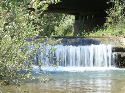 Elazığ’da sirazların göç yolculuğu başladı