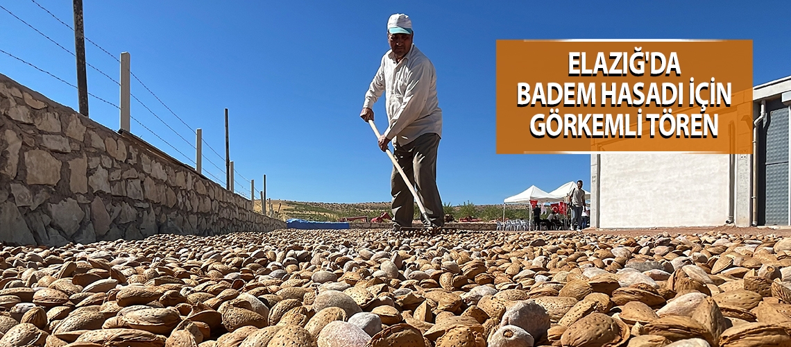 Elazığ'da badem hasadı için görkemli tören