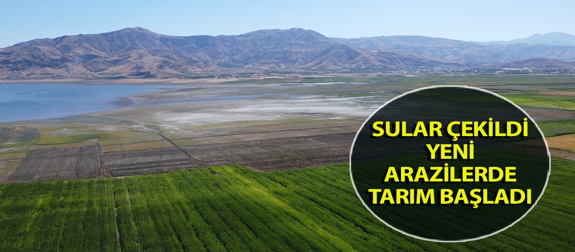 Sular çekildi yeni arazilerde tarım başladı