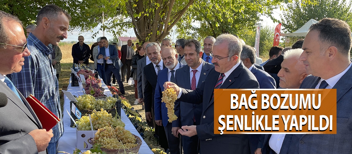 Bağ bozumu şenlikle yapıldı