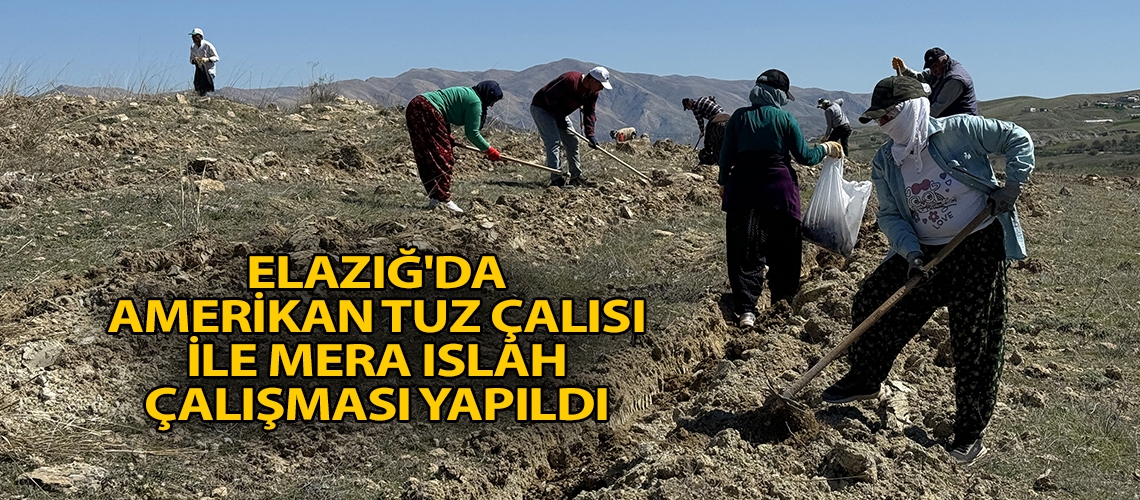 Elazığ'da Amerikan tuz çalısı ile mera ıslah çalışması yapıldı