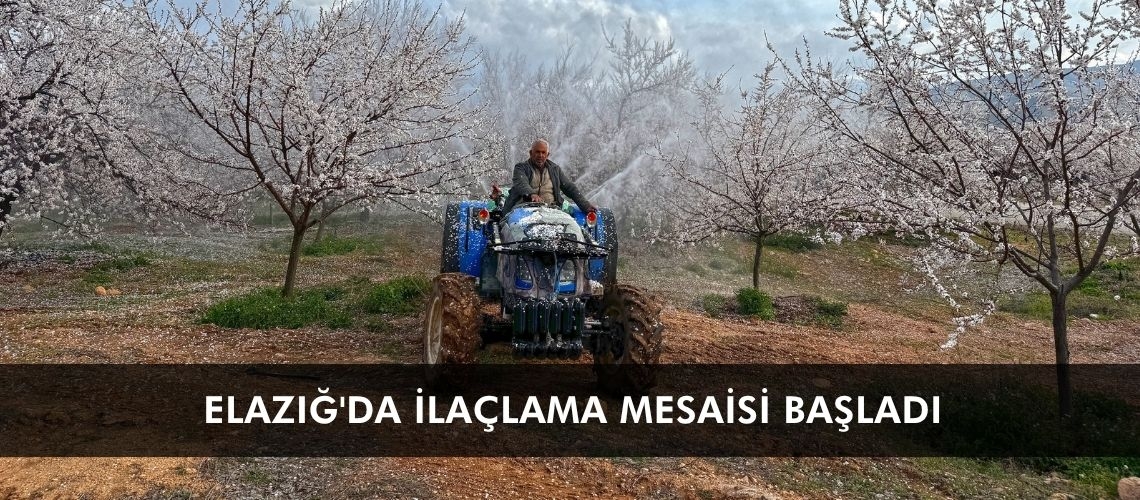 Elazığ'da ilaçlama mesaisi başladı