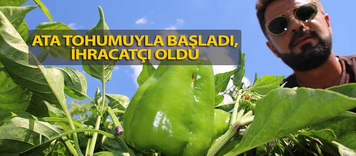 Ata tohumuyla başladı, ihracatçı oldu