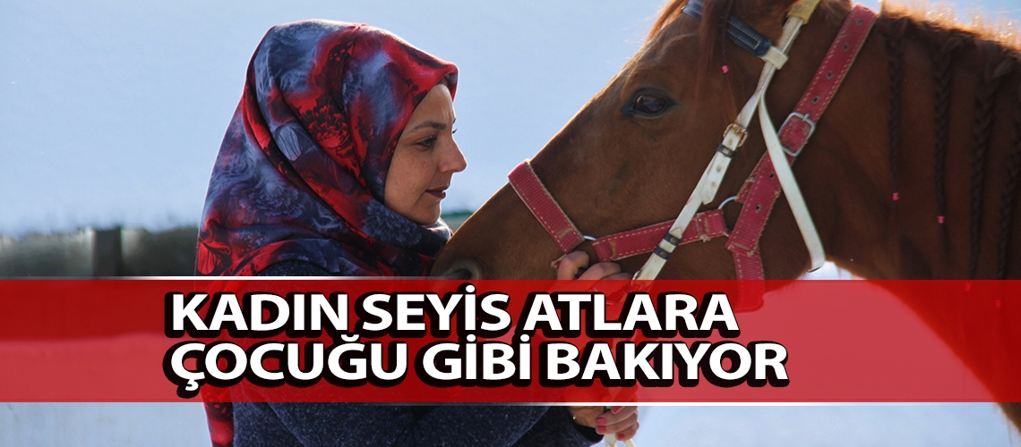 Kadın seyis atlara çocuğu gibi bakıyor