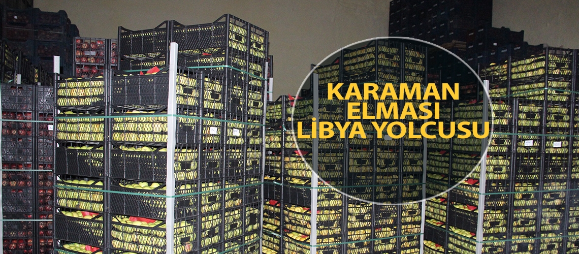 Karaman elması Libya yolcusu